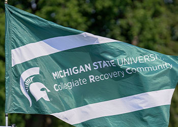 Michigan State University Collegiate Recovery Community flag. Green with white stripes and a white Spartan helmet