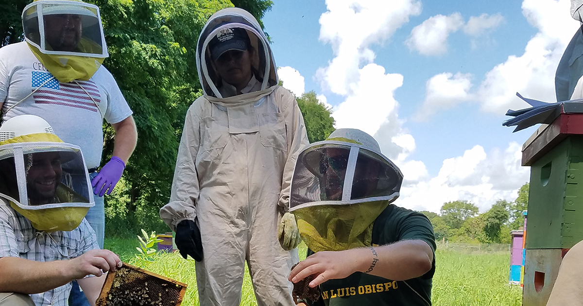 Heroes to Hives: Saving Veterans and Honey Bees | Giving to Michigan ...
