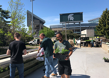 Students installing parts of the Green Wall