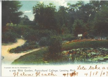 Historic 1904 postcard of a botanical garden.