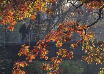 students walking on campus in the fall