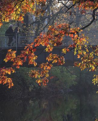 students walking on campus in the fall