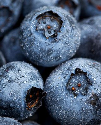 Blueberries macro shot