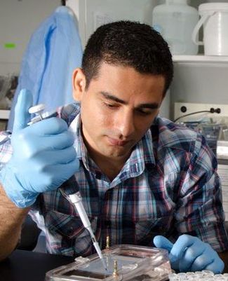 Raeuf Roushangar, an MSU biochemistry and molecular biology senior