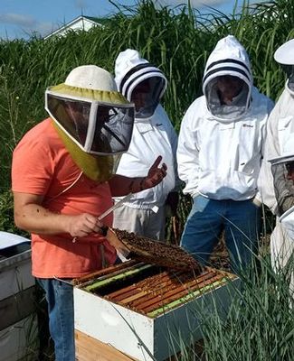 beekeepers in the field