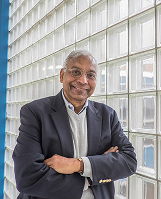 Professor Anil K. Jain