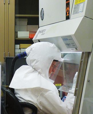 Vet lab scientist processes COVID test.