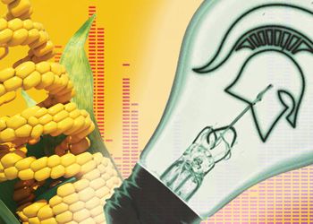 MSU Lightbulb and corn in DNA strand