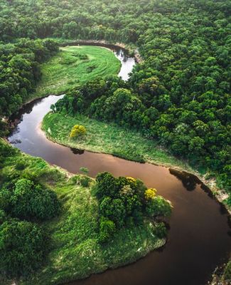 off-grid home in Amazon