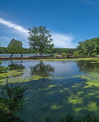 Gull Lake