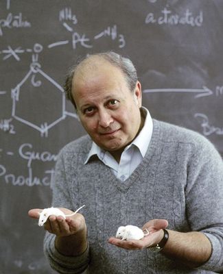 Dr. Barnett Rosenberg holds two mice