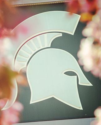 Spartan helmet on stadium pokes through tree buds