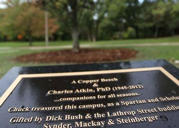 plaque and tree