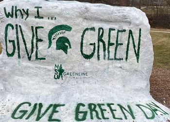 MSU Rock Painted for Give Green Day