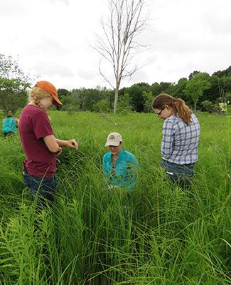 kbs students in the field