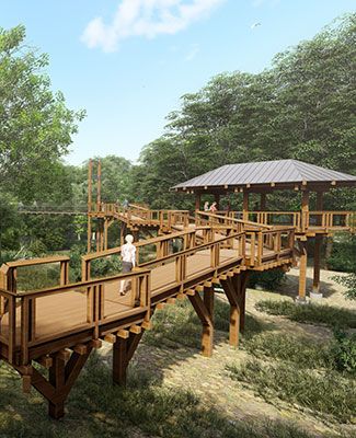rendering of Hidden Lake Gardens new canopy walk