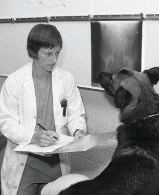 Gretchen Flo shares x-rays with a German shepherd dog in a black and white photo taken early in her career
