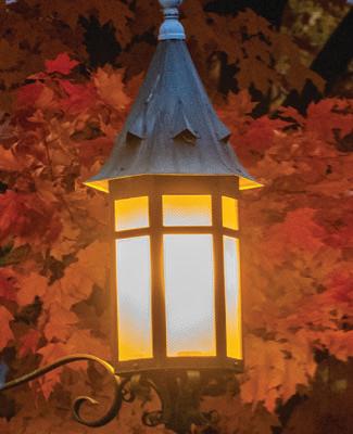 MSU Lantern