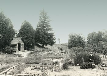 William J. Beal sits on garden bench. 