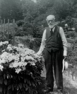 William J. Beal standing in garden. 