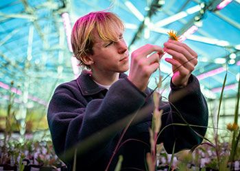 MSU student Sean Ward holds a plant up to the light to study it inside one of MSU's greenhouses.