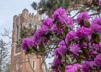 spring on campus