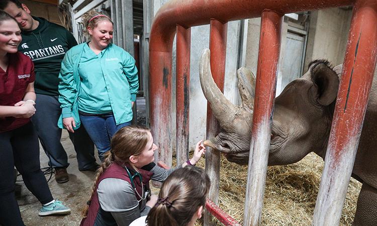 MSU veterinary medical instructors and students interact with Doppsee