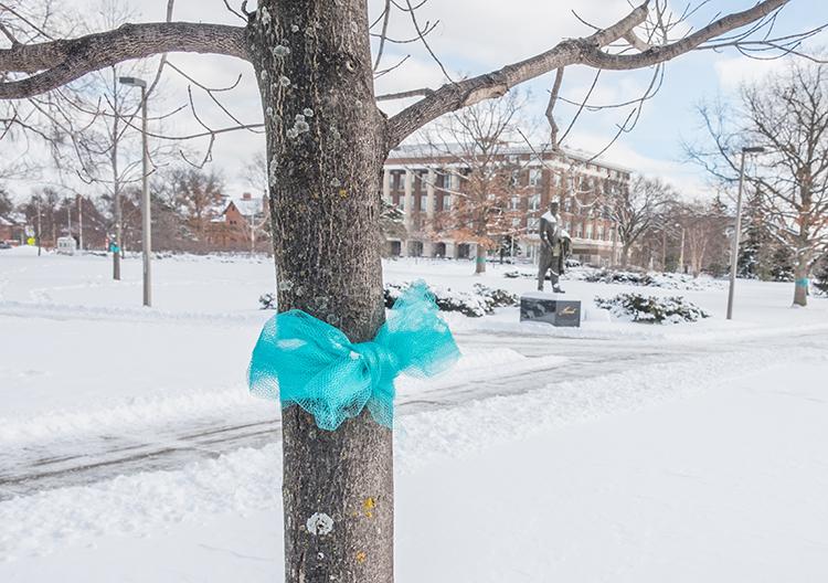 Teal ribbon wrapped around trees