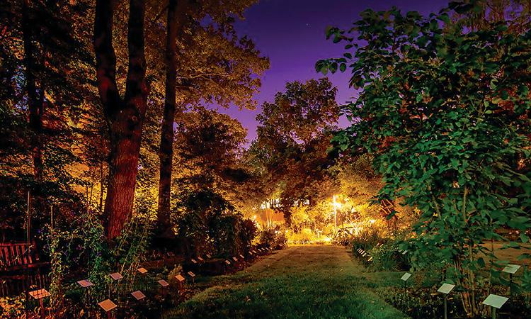 Night photo of William J. Beal Garden in East Lansing