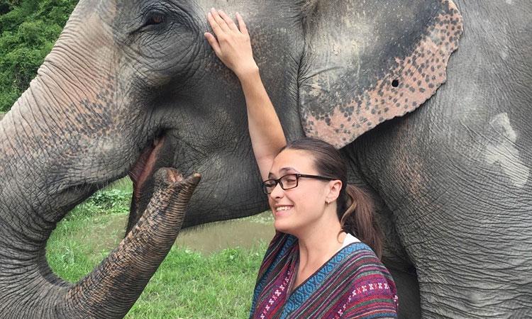 photo of Katie Kelel, wearing a striped dress, standing next to an elephant. She is petting the elephant's face.