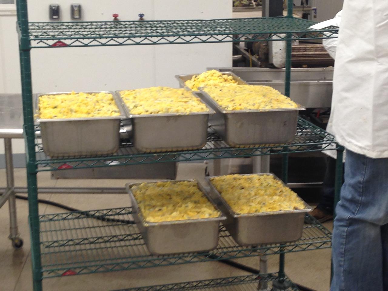 Pawpaw pulp sits in trays before being processed by fruit processing machine. 