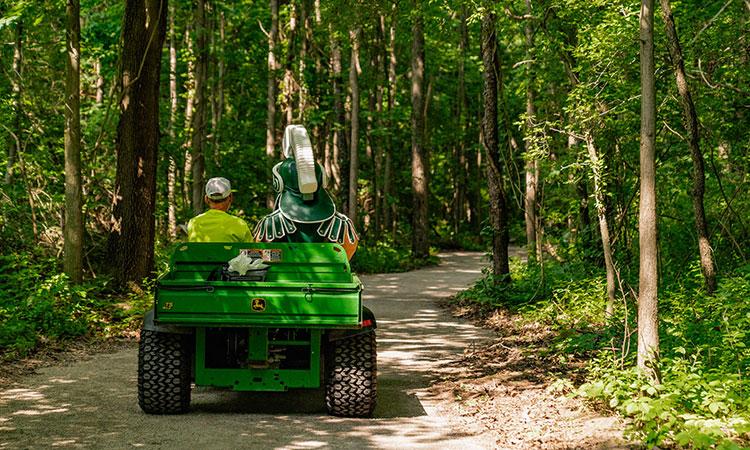 Sparty is driven down a woodland path by a Hidden Lake Gardens staff member.