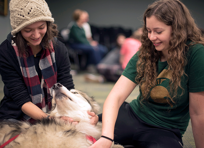 Students with therapy dogs