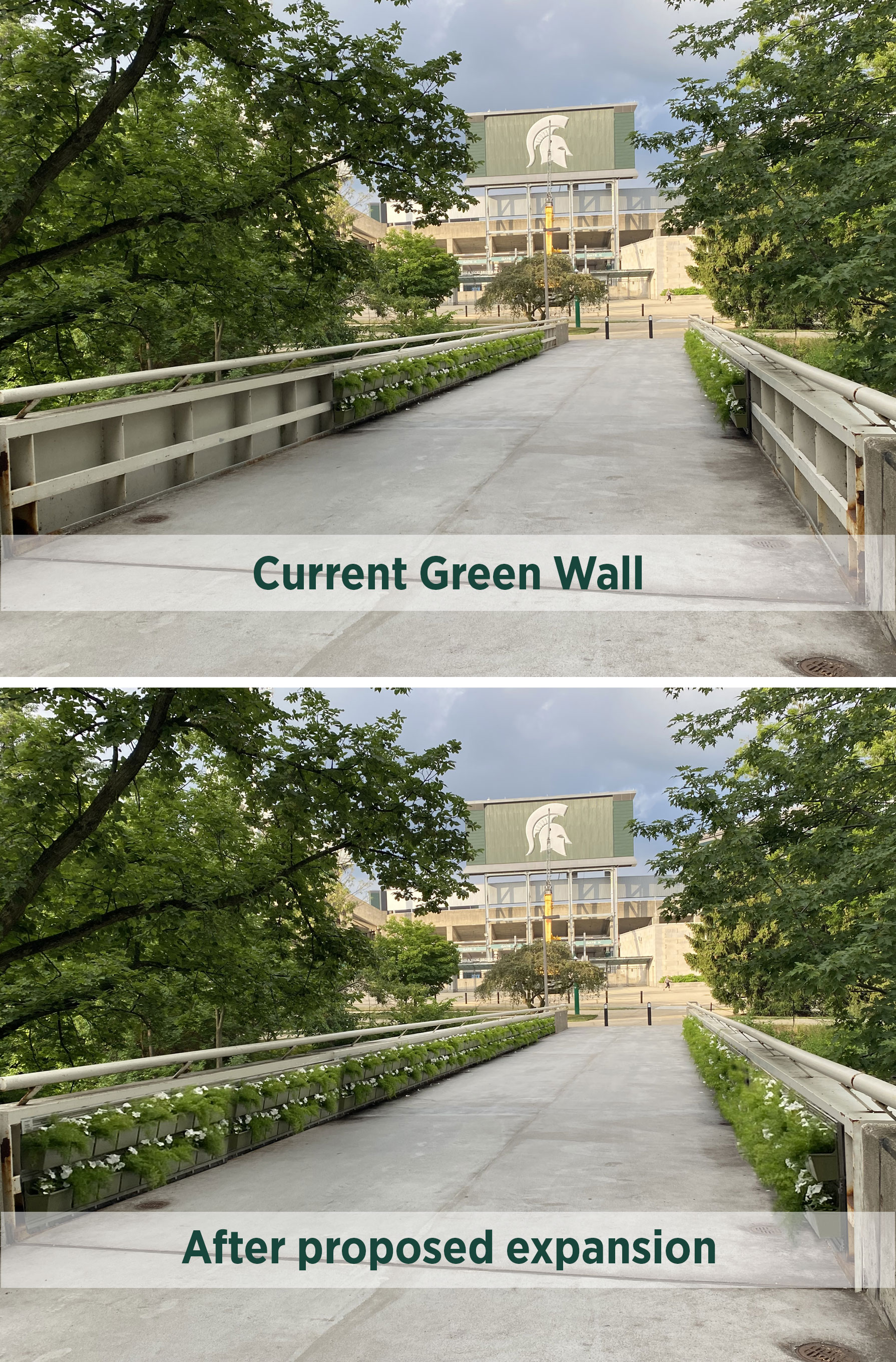 photo of the wall showcasing the current green wall followed by an image of what it could look like after the proposed expansion