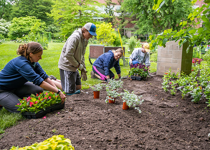 Students watering plants by the fencing of Beal Botanical Garden.