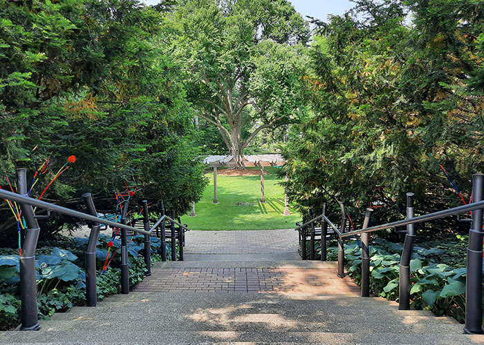 The paved path across the garden, lit at night.