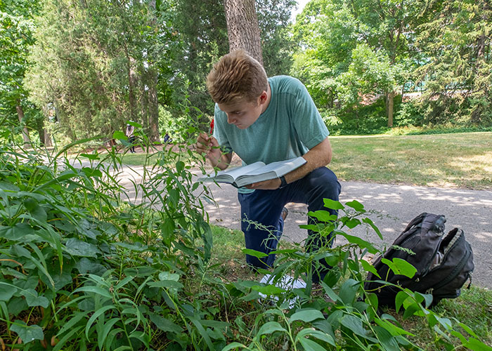 Students working in the garden.