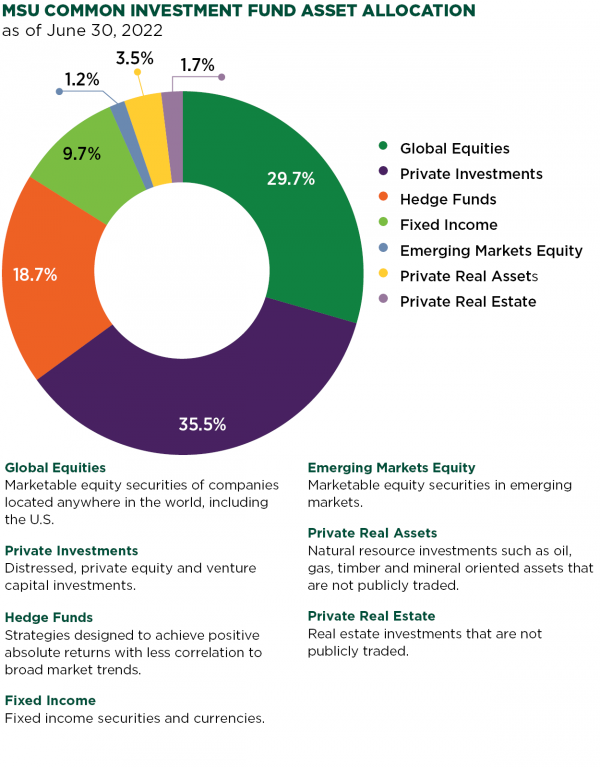 Chart of endowment CIF asset allocation