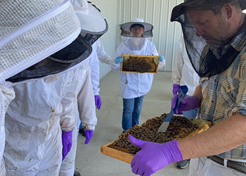 Heroes to Hives students working with bees.